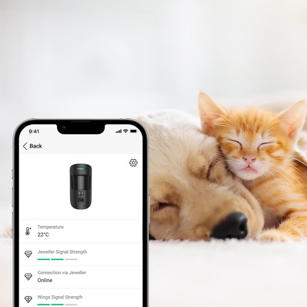 L'allarme con sensori pet-friendly