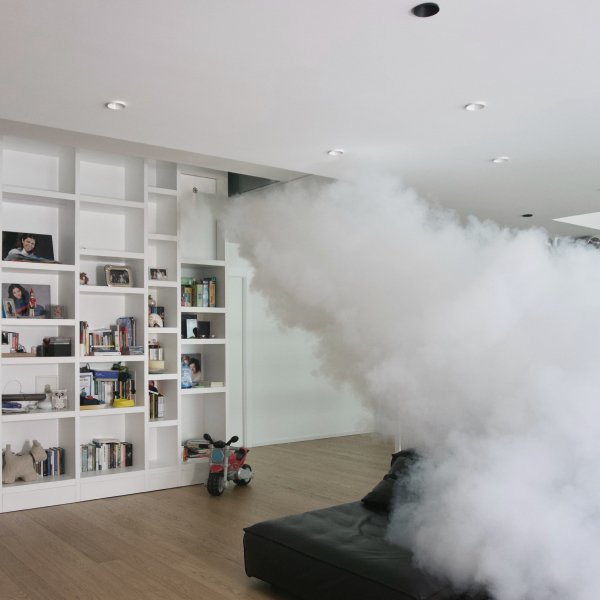 Nelle mani di esperti di protezione