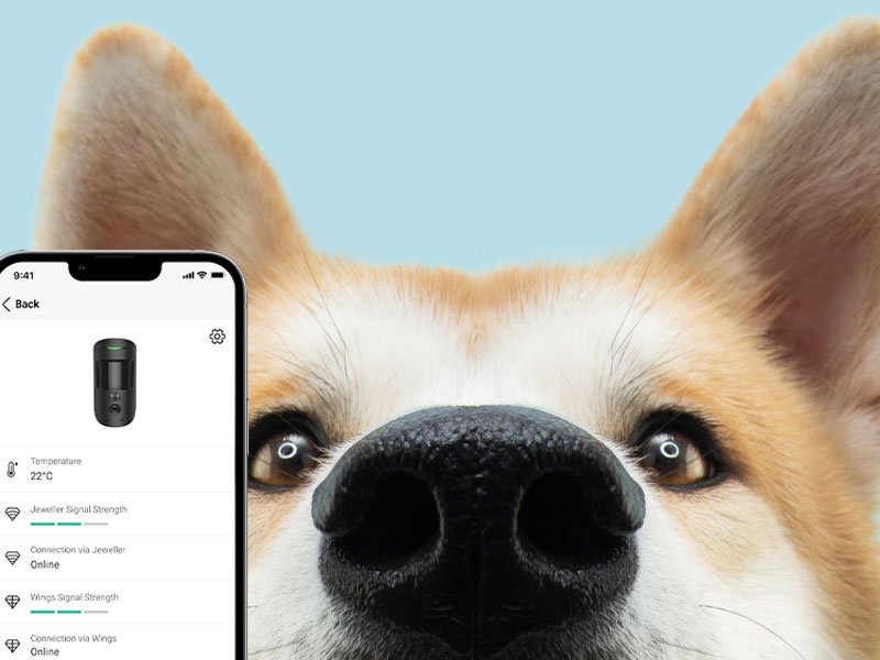 Il sistema di allarme PROTECTA è pet friendly_ comunica le tue esigenze al nostro installatore